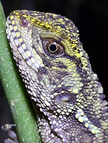 In Ecuador