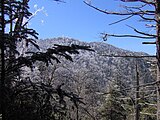 Inadu Knob and Old Black, viewed from just past the Maddron Bald Trail junction