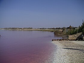 Image illustrative de l’article Lac Rose