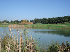 Lac du parc André-Delibes.