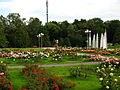 Vue de la roseraie (rosarium)