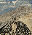 South aspect above Pioneer Basin