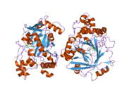 2os2: Crystal structure of JMJD2A complexed with histone H3 peptide trimethylated at Lys36