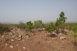 Paysage à Kouaba