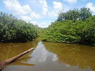 Tatuamunha River