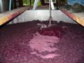 Image 22A cap of grape skins forms on the surface of fermenting red wine (from Winemaking)