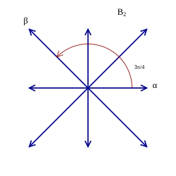 Root system B2