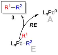 Reductive elimination step in the catalytic cycle of Suzuki reaction.