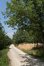 The Greenway at summer.