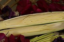 Edible inflorescence of the pacaya palm (with other flowers)