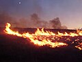 Image 13Lightning-sparked wildfires are frequent occurrences during the dry summer season in Nevada. (from Wildfire)