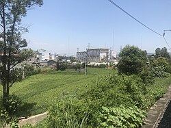 新镇村