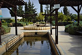 A man–made pond in campus