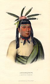 Amiskquew, guerriero Menominee