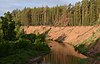 Vue du parc national de la forêt de Bouzoulouk