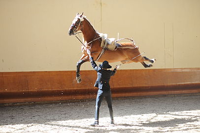 Cabriole à la main