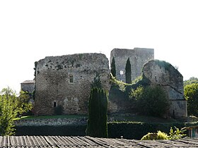 Image illustrative de l’article Château de Clérans (Cause-de-Clérans)