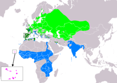 Distribución de Circus aeruginosus