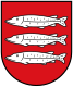Coat of arms of Hamm am Rhein