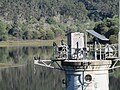 Gold Creek Dam tower with Little Black Cormorants