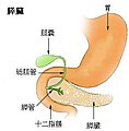 2010年8月13日 (金) 05:53時点における版のサムネイル