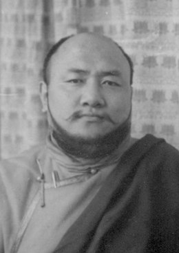 Description de l'image Jikdrel Tsewang Dorje.jpeg.