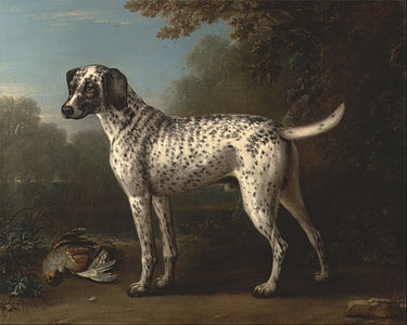 John Wootton (1682–1764) A Grey Spotted Hound
