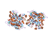 1w4r: STRUCTURE OF A TYPE II THYMIDINE KINASE WITH BOUND DTTP