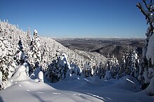 View of the park in the winter