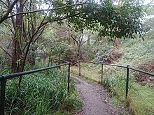 Photo of a gravel path with metal railings amongst green shrubbery.