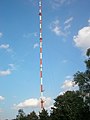 Der 300 m hohe NDR-Sendemast