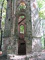 Blick auf den abgebrochenen Treppenturm: Unten der Zugang zum Kellerraum