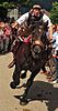 Kufenstechen festival bareback riding on Noriker horse