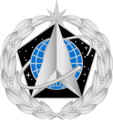 Space Staff Badge