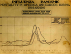 Number of deaths in New York City, Berlin, Paris, and London (Museum of Health & Medicine, Washington), c. 1918–1919