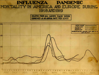 Graphique montrant la hausse brutale et quasiment parallèle du taux de mortalité dans les villes de New-York, Londres, Paris et Berlin en octobre et novembre 1918, oscillant entre 40 et 60 morts pour 1 000 habitants au lieu de 10 à 20 dans la période précédente et suivante