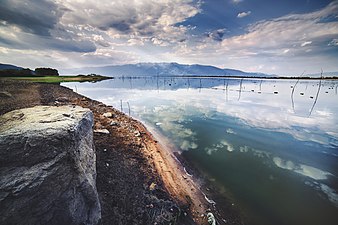 Lake Kerkini in Macedonia Φωτο: Stathis floros