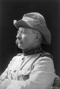 Theodore Roosevelt, by B.J. Falk