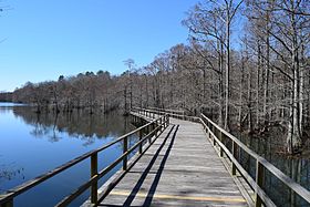 Lakeside boardwalk