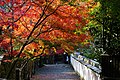 神峯山寺参道