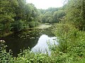 Stang ar Bleiz ("L'étang du loup") dans le Bois de Névet.