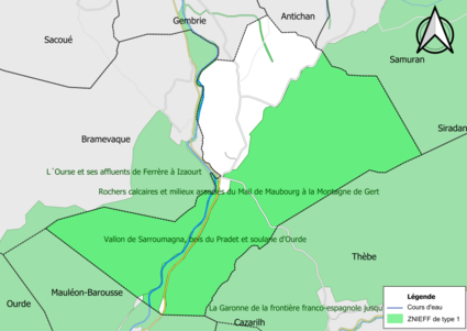 Carte des ZNIEFF de type 1 sur la commune.