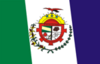 Flag of Aurora do Pará