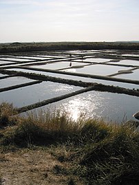 Базени морске воде у солани Mer Marais Salants