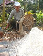 Tubers being grated