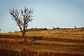 View from the Prilepnica