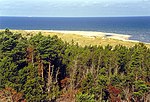 Plage de Gotska Sandön.