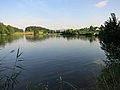 Estanque Bergweiher en Horgenberg