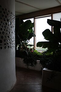 an interoro botanical cell, for greywater treatment