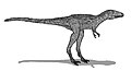Tarbosaurus (juvenile).